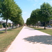 Zwaluwlaan