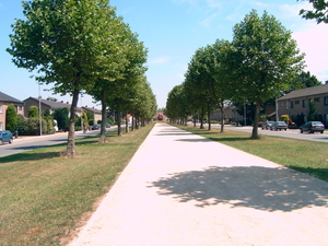 Zwaluwlaan