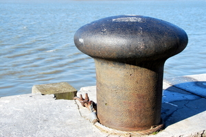 Aan de Schelde