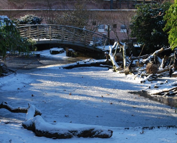 zoo 6 jan 2009