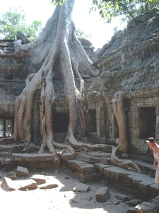 3TP SIMG1187 woekerboom in site Ta Phrom