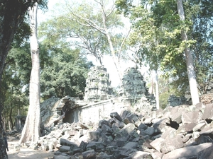 3TP SIMG1189 Bomen over site Ta Phrom