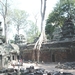 3TP SIMG1196 binnenplaats tempel met bomen Ta Phrom