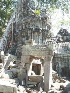 3TP SIMG1198 woekerbomen over gebouw Ta Phrom