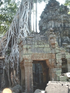 3TP SIMG1199 boomwortels over gebouw Ta Phrom