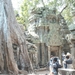 3TP SIMG1200 boomwortels over gebouw Ta Phrom