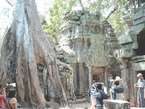 3TP SIMG1200 boomwortels over gebouw Ta Phrom