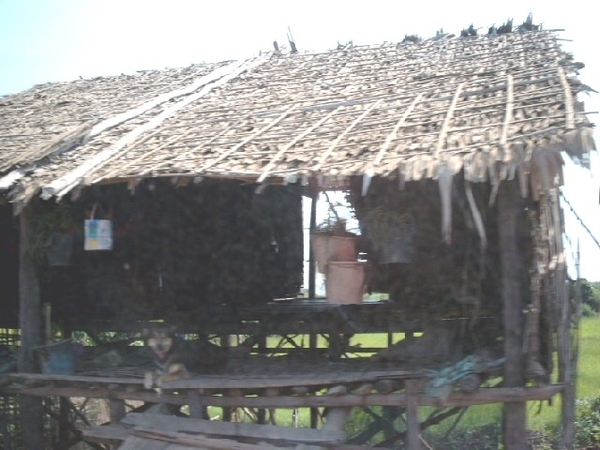 5TS SIMG1259 hut op palen toegangweg Tonlé Sap