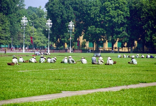 5HA I Hanoi  HCM paleis graswieden