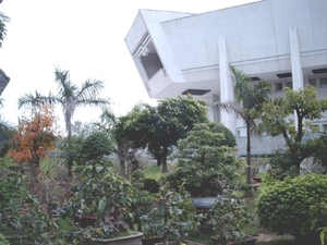 5HA SIMG1530 HCM museum met bonzai's Hanoi