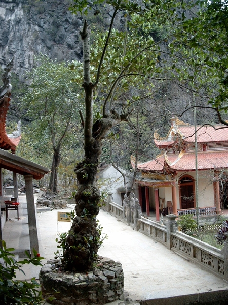 6YN SIMG1625 beneden tempels jade VD YEN