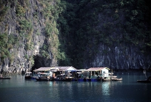 8HL I Halong Bay drijvende huizen