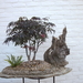 PICT0175