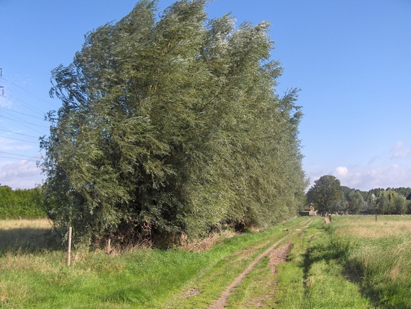 02 Only 15 km from Brussels