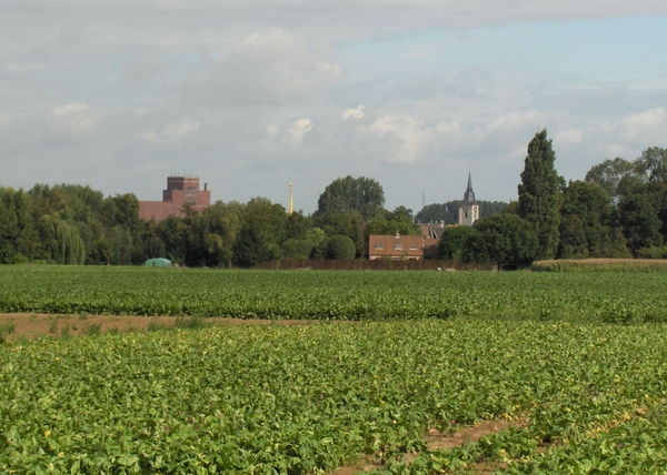 03 Our (natural) habitat