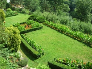 Tsjechië (107)