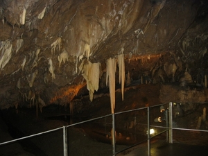 Afbeelding 040