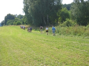 Afbeelding 042