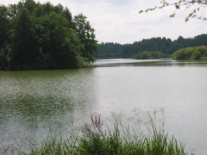 Afbeelding 083