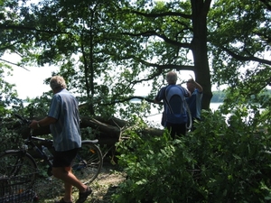 Afbeelding 090