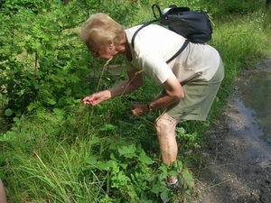 Tsjechië (205)