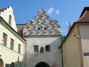 Tsjechië (221)