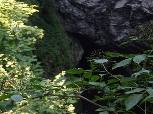 Tsjechië (26)