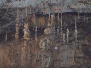 Tsjechië (28)-1