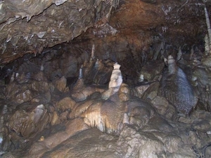 Tsjechië (29)
