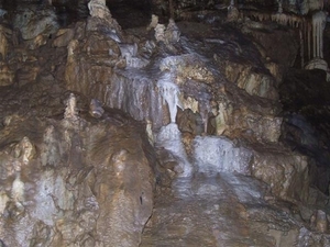 Tsjechië (31)