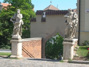 Tsjechië (81)