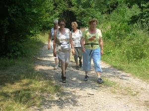 Tsjechië (96)