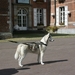 Hoofdingang gemeentepark Schoten