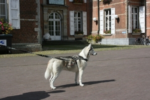 Hoofdingang gemeentepark Schoten