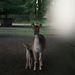 Moeder en kind