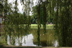 Gewoon mooi