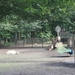 Het dierenpark