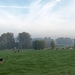 2008-10-10 GR Elst-Brakel-08
