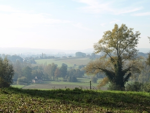 2008-10-10 GR Elst-Brakel-46