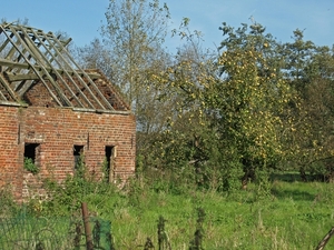 2008-10-10 GR Elst-Brakel-64