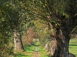 2008-10-10 GR Elst-Brakel-67