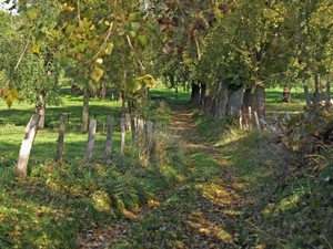 2008-10-10 GR Elst-Brakel-72