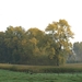 2008-10-10 GR Elst-Brakel-04