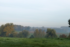 2008-10-10 GR Elst-Brakel-07