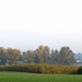 2008-10-10 GR Elst-Brakel-13