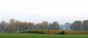 2008-10-10 GR Elst-Brakel-13