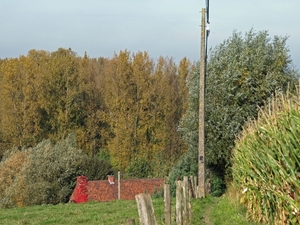 2008-10-10 GR Elst-Brakel-81