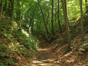 2009-05-31 St.J.-Weert_P�crot-05