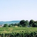 Beaune Landschap