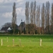 BILD0036